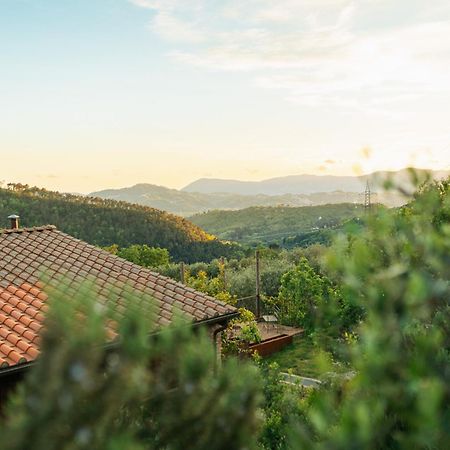 Agriturismo La Burlanda 포스디노보 외부 사진